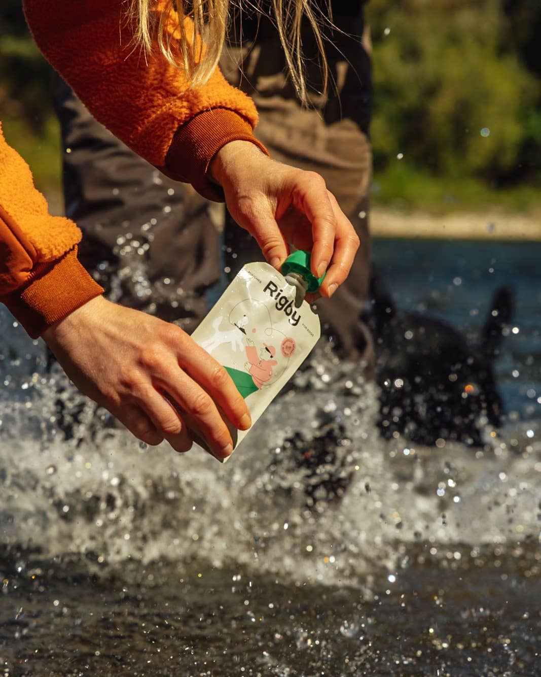 Organic Salmon Squeeze Pouch for Dogs - 6 Pack