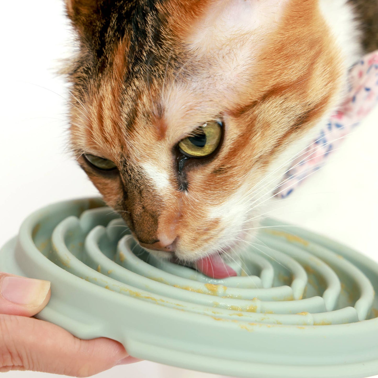 Twirl: Easy Clean Lick Mat | Comes in a Pair | Innovative