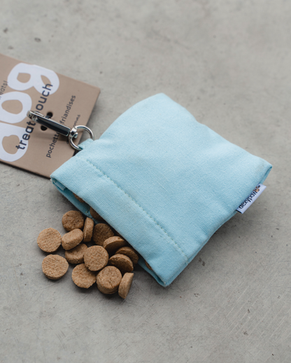 Treat Pouch in Sky Blue