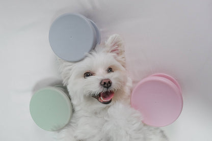 Trove: Dog Enrichment Feeder | Frozen Treat Cup