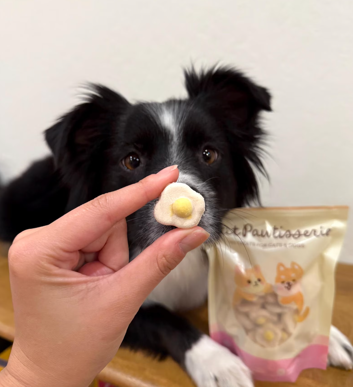 Freeze Dried Chicken Egg Treats for Cats & Dogs 40g