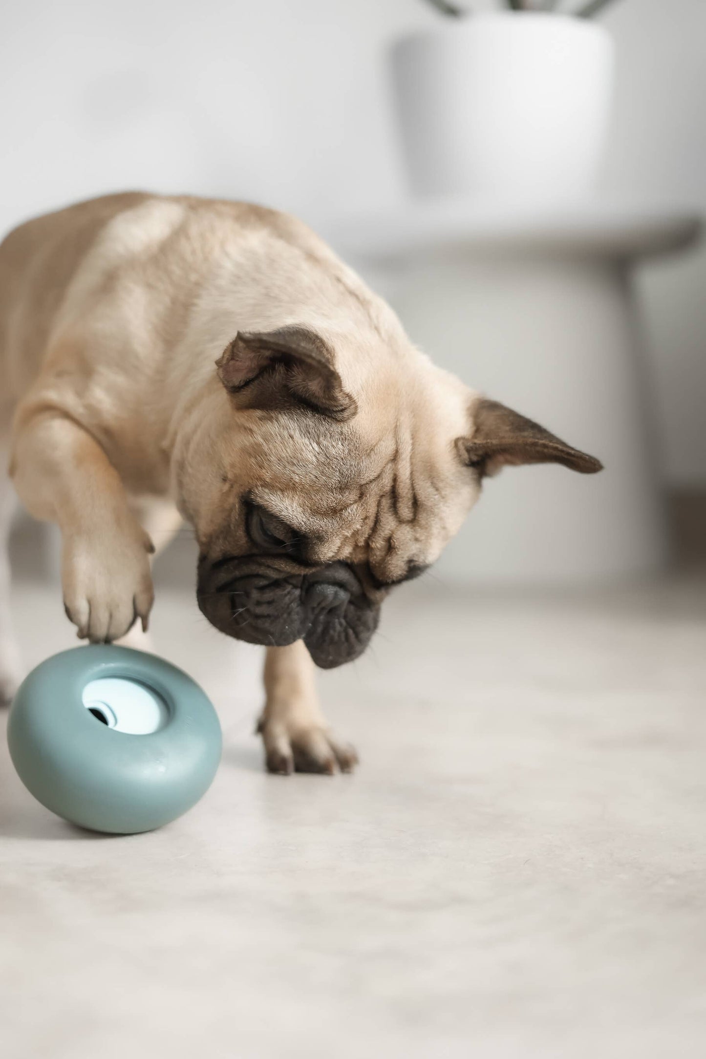 Pebble: All-in-One Dog Toy | Slow Feeder + Treat Dispenser