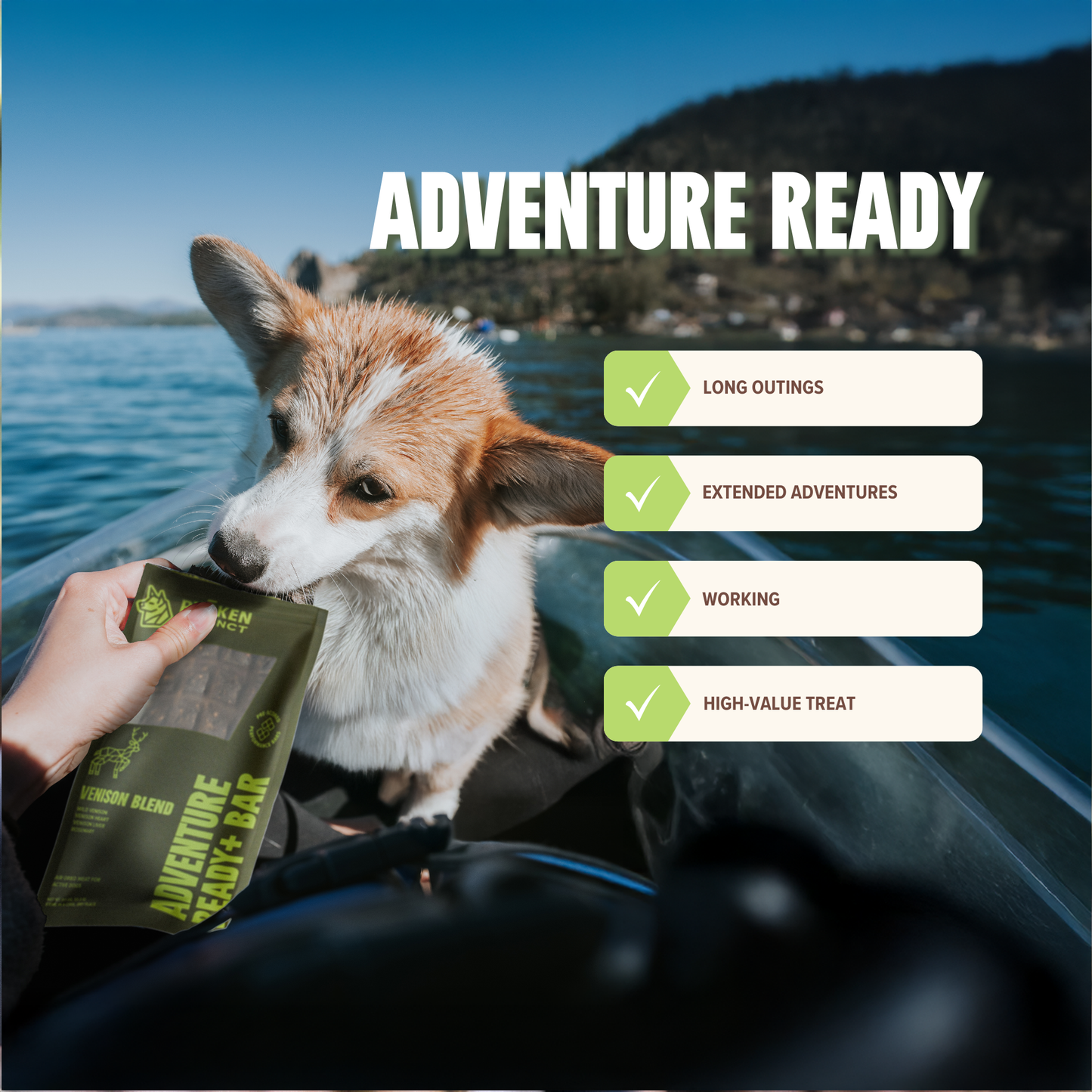 Venison Treat & Snack Bar