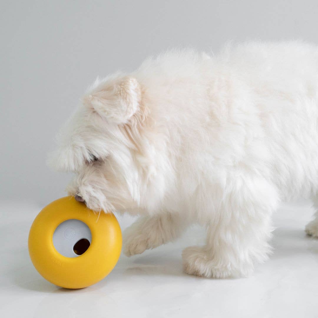 Pebble: All-in-One Dog Toy | Slow Feeder + Treat Dispenser