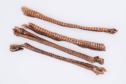 Dehydrated Lamb Trachea (4-5")
