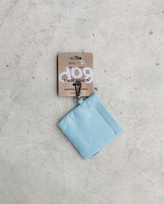 Treat Pouch in Sky Blue